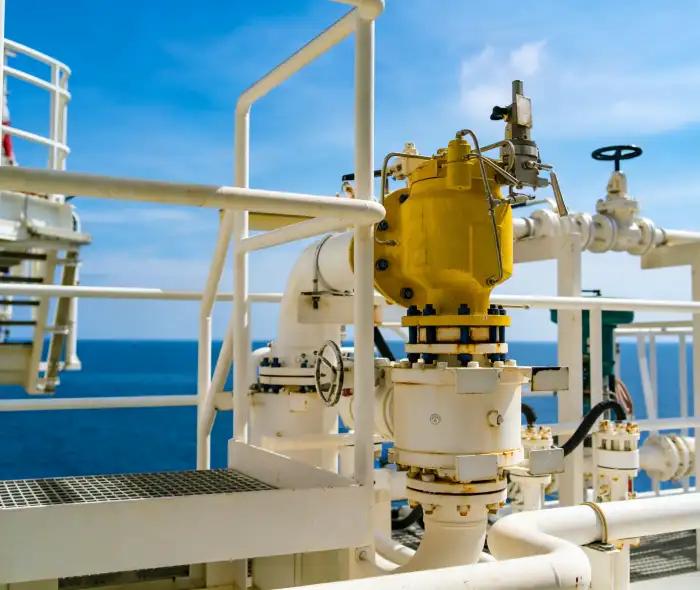 LS Manufacturing × Offshore Platform Enterprise: consegna in grandi quantità di molle per valvole resistenti alla corrosione